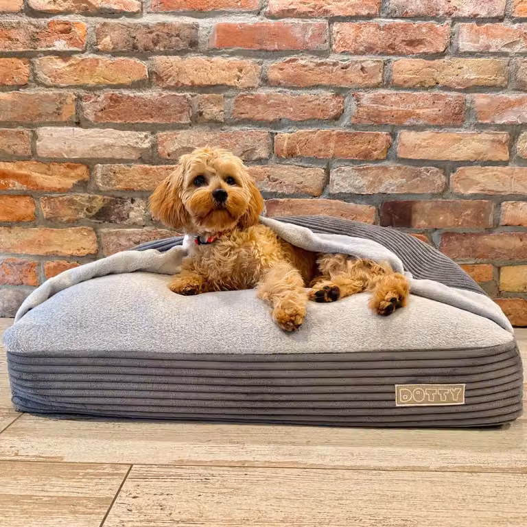 DOTTY Snuggle Cave Accogliente letto per cani Nido per gatti Sacco a pelo per cani - Tessuto a coste grigio grafite - Misura M (70 x 55 cm)