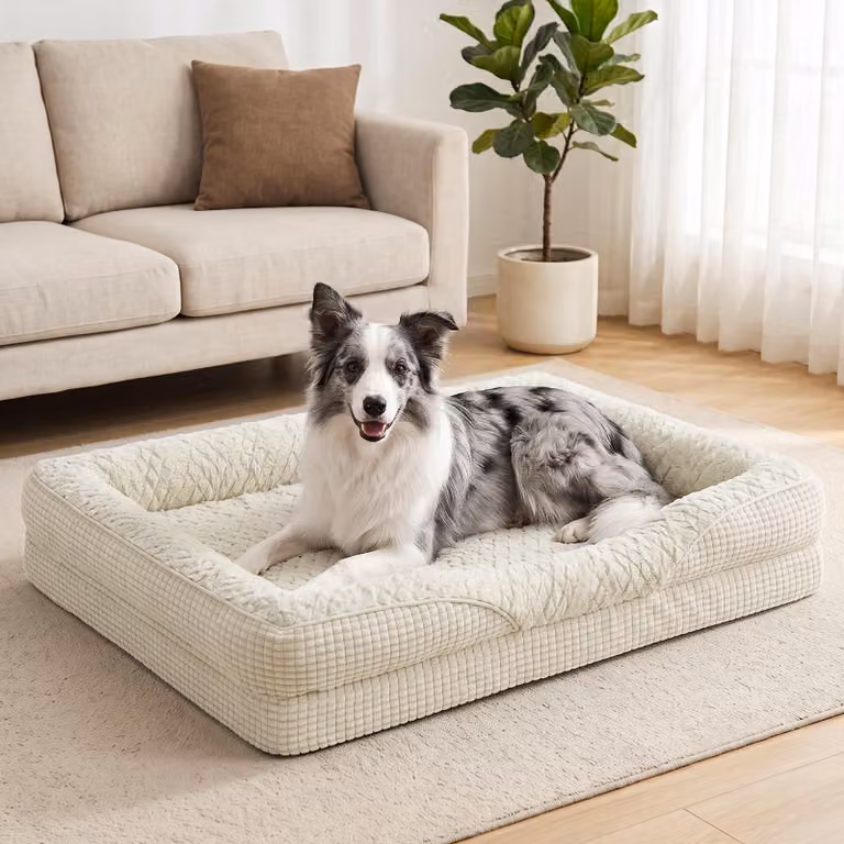 Cuccia ortopedica per cani, taglia media, dimensioni 89x64x18 cm, con rivestimento removibile, adatta ai cani