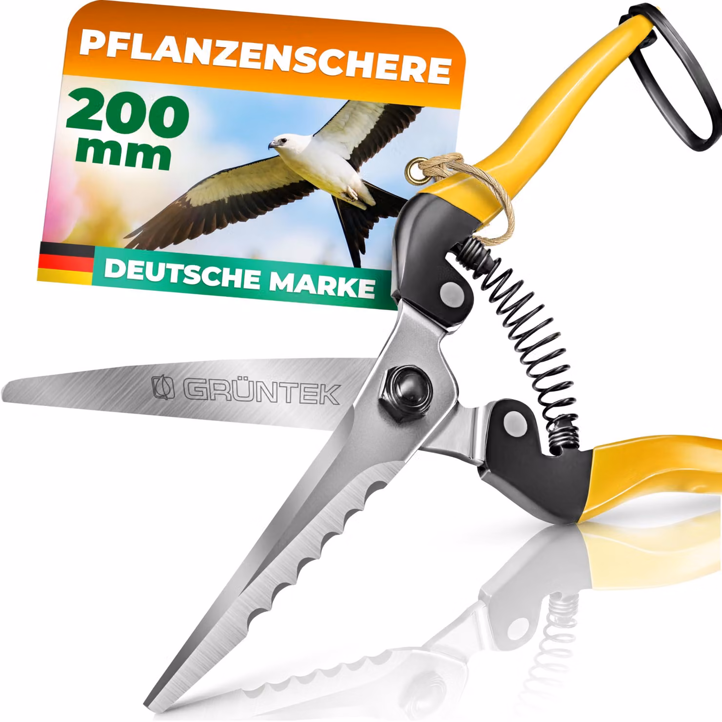 GRÜNTEK, forbici da giardino, forbici da raccolta KITE, 200 mm, forbici precise per fiori, forbici per piante con lama in carbonio, forbici professionali per potatura di fiori, erbe aromatiche, bonsai, per la raccolta e per la potatura della vite. Manico