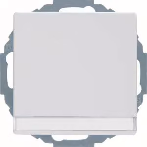 Presa SCHUKO Berker 47466089 con coperchio ribaltabile e campo di etichettatura, bianco polo, completa di Berker Q.1