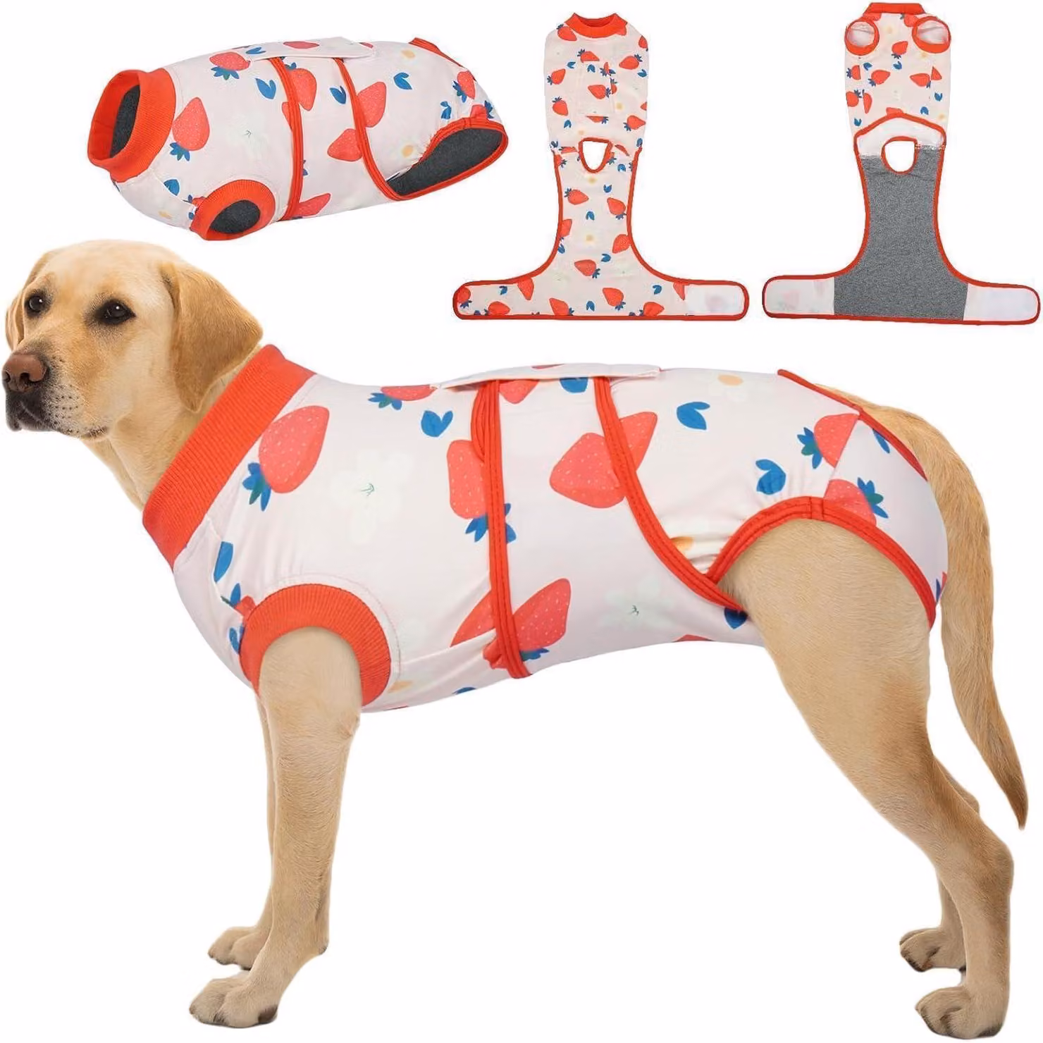Body per cane post-operatorio, colore rosso, motivo a fragole, traspirante, anti-perdite