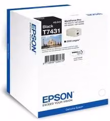 Cartuccia per stampante Epson Serie Taj Mahal T7431 Nero