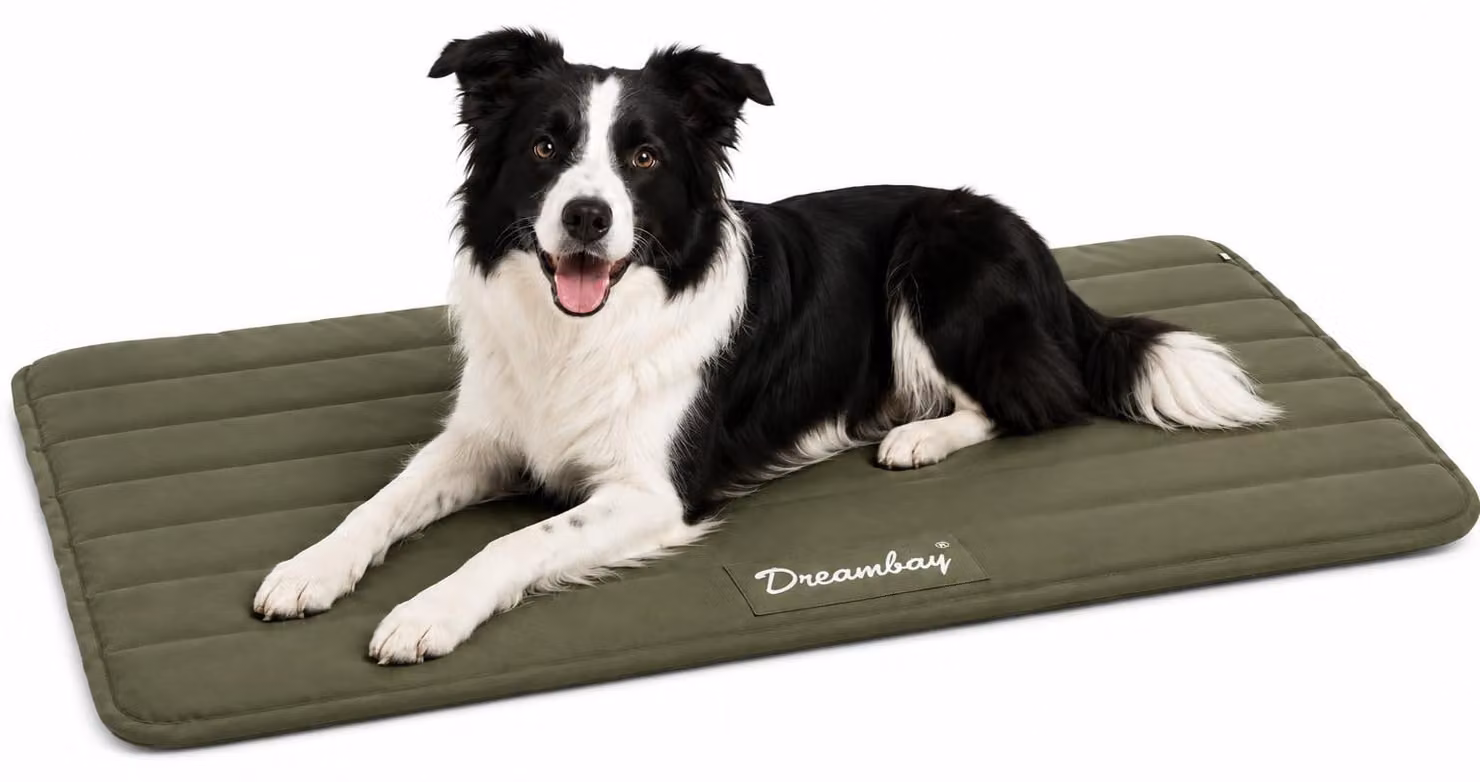 Cuccia per cani Flamingo - lettino ortopedico per gatti Dreambay® color verde oliva - Premium Memory
