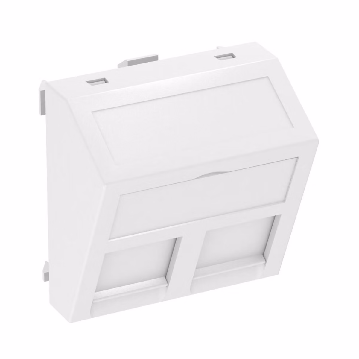 OBO Bettermann Vertr Supporto per la tecnologia dei dati DTS-2B RW1