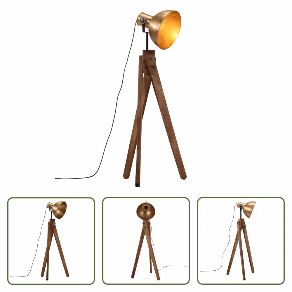 The Living Store Lampada da terra 25 W ottone anticato 45x45x120 cm E27