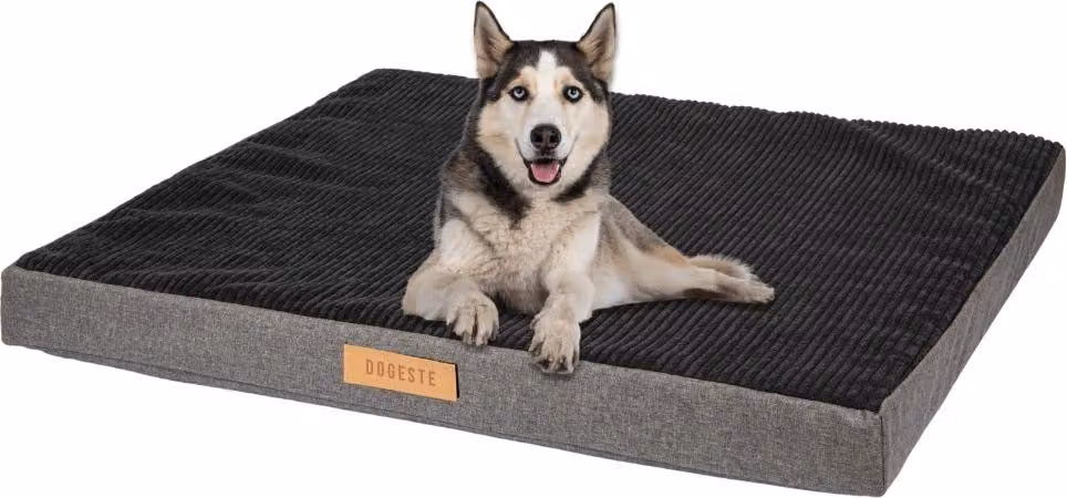 Cuccia ortopedica per cani, taglia XL, con materasso delicato per le articolazioni e rivestimento lavabile