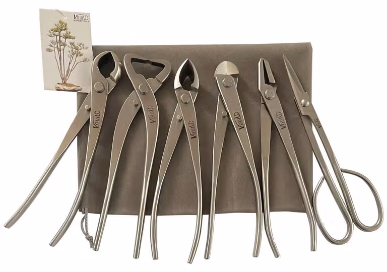 Solidchoice - Set di 6 utensili per bonsai, completo di taglierino e altro