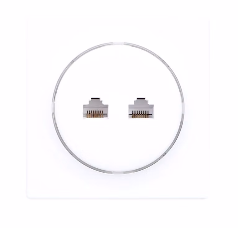 Fibaro Walli N socket-outlet 2 x RJ-45 White