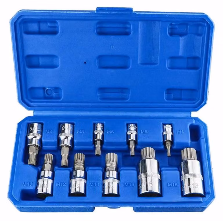 Set di 10 chiavi a T con inserti Torx di diverse dimensioni