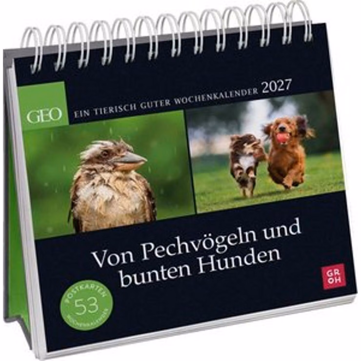 Calendario a cartoline 2027: Di sfortunati e cani colorati