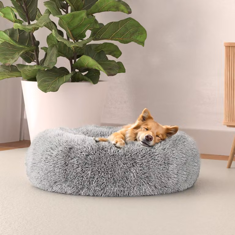 Solidchoice - Cuccia per cani "Dreams" in color perla