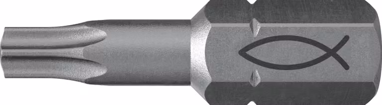 Fischer 10x ProfiBit FPB T 10 - 557845