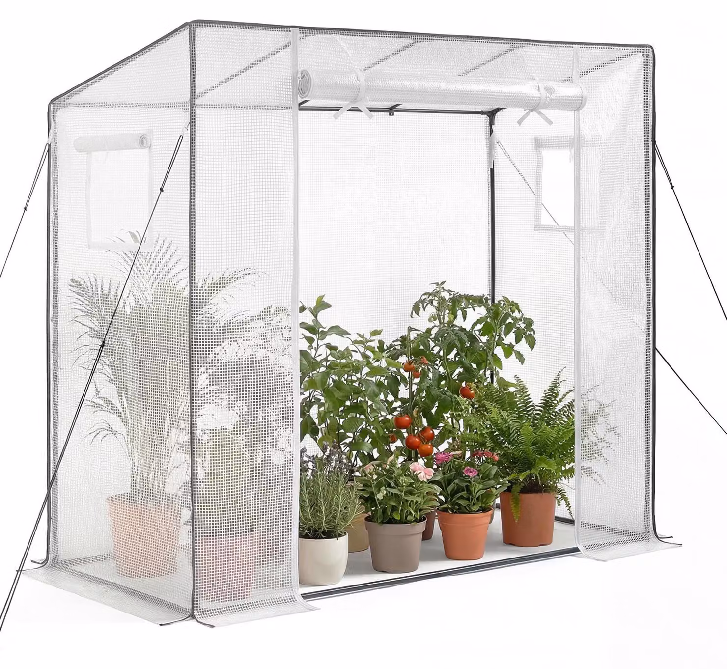 Serra SucceBuy 195x77x146/168 cm, serra in plastica con robusto telaio in acciaio, copertura in PE resistente, pratica porta con cerniera e due finestre di aerazione, ideale per l'uso all'aperto