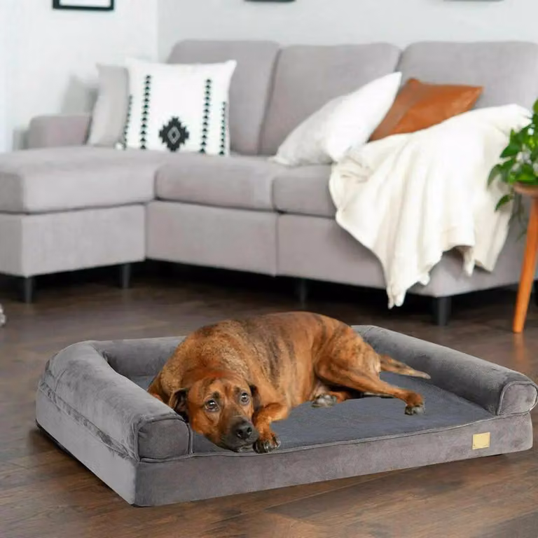 Cuccia ortopedica per cani – Confortevole e stabile – Copertura lavabile – Impermeabile e antiscivolo – Ideale per cani e gatti – Taglia media – 80 x 60 x 18 cm