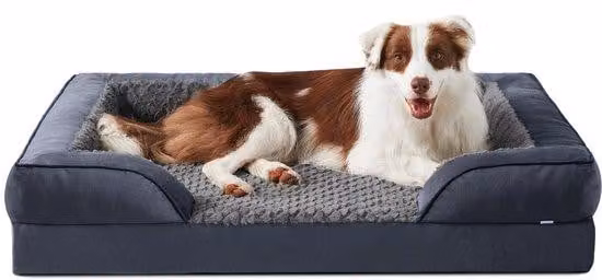 Cuccia ortopedica per cani di taglia media, divanetto da sogno con cuscini ortopedici rimovibili e lavabili, 89 x 64 x 17 cm, a forma di uovo, cuccia antiscivolo, grigia