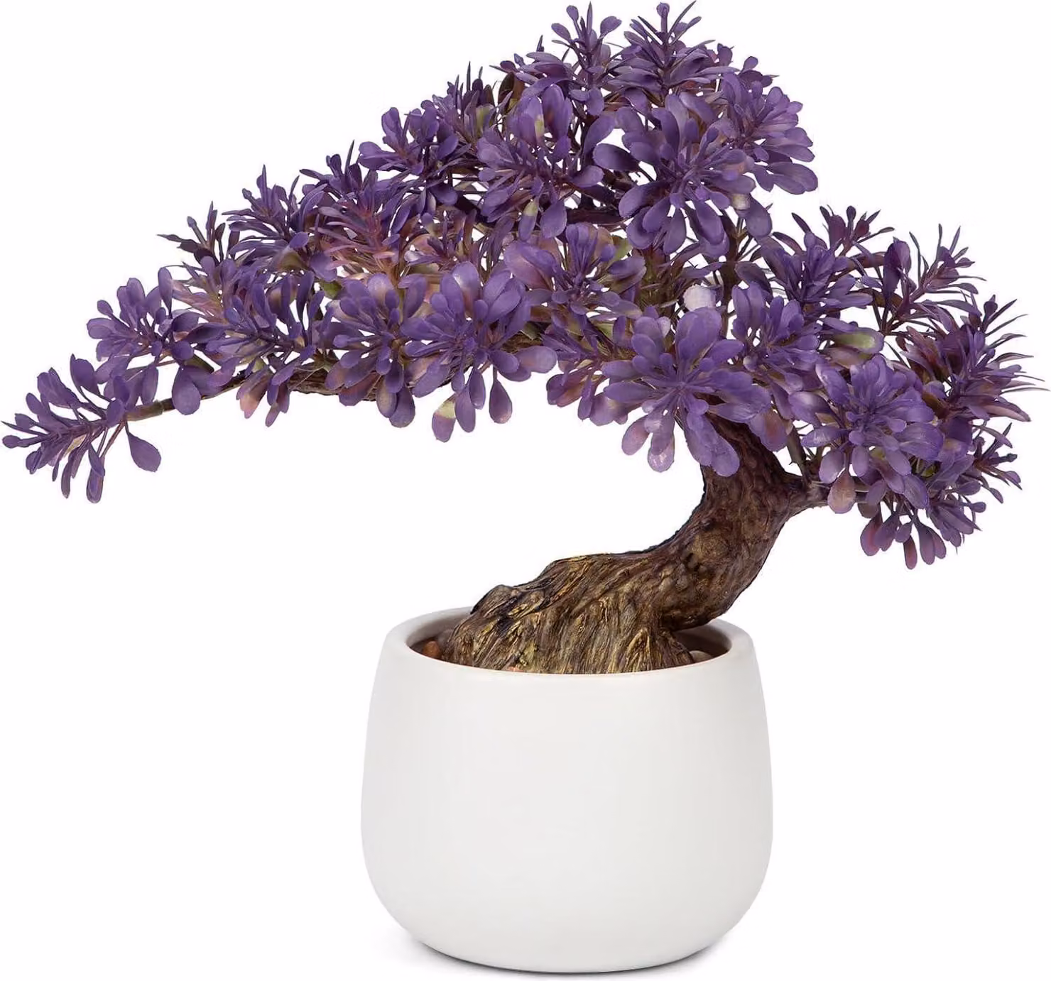 Bonsai artificiale 25 cm in vaso di Vetroceramica decorazione per soggiorno camera da letto - pianta artificiale Podocarpus & pino bonsai
