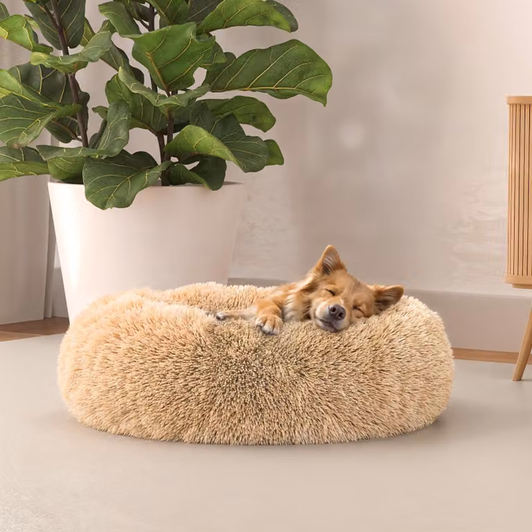 Lenzuola italiane, cuccia confortevole per cani, "Sogni per cani e gatti", colore vaniglia, 50