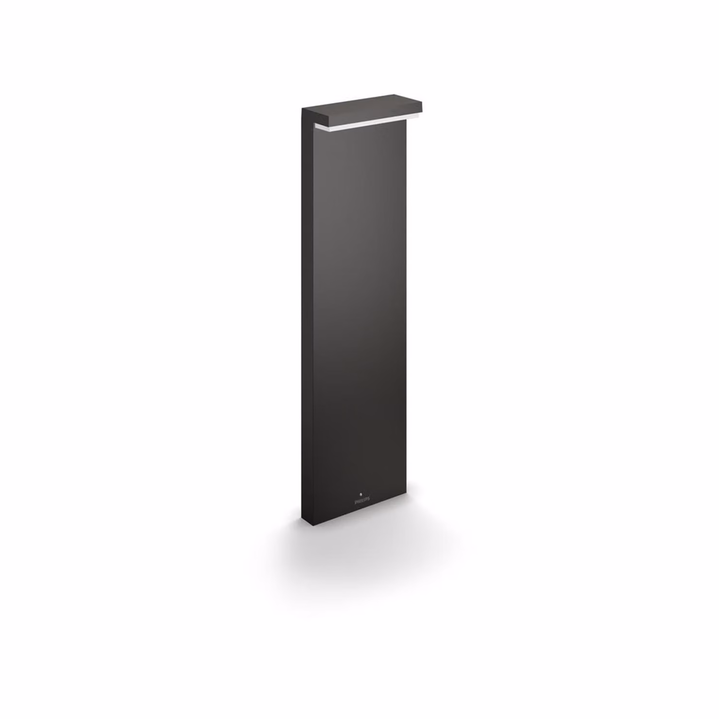 Philips myGarden Luce di dissuasione a LED Bustan 2×4,5 W antracite 1648693P0