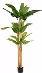 Pianta artificiale Banano Bizzotto verde Altezza: 280 cm
