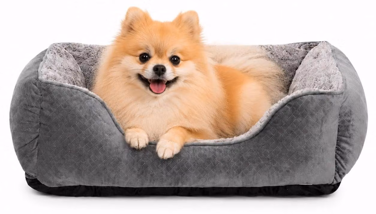 Cuccia piccola per cani di taglia media