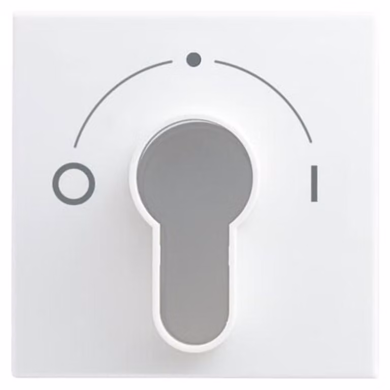 Busch-Jaeger tende a disco centrali/interruttore orario 2557 SLPZ-914-101