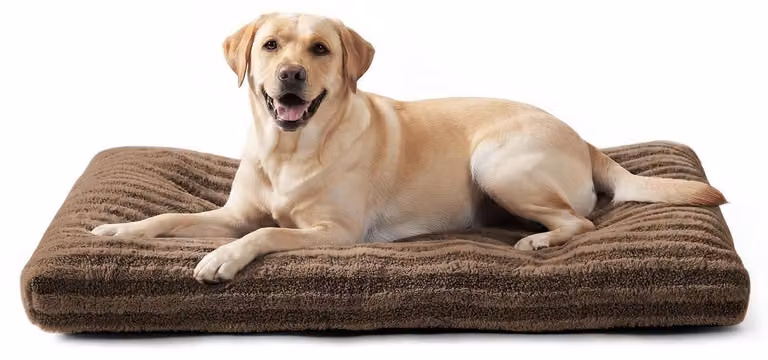 Cuccia per cani, lavabile, in peluche, color marrone scuro, dimensioni 90x60x9 cm