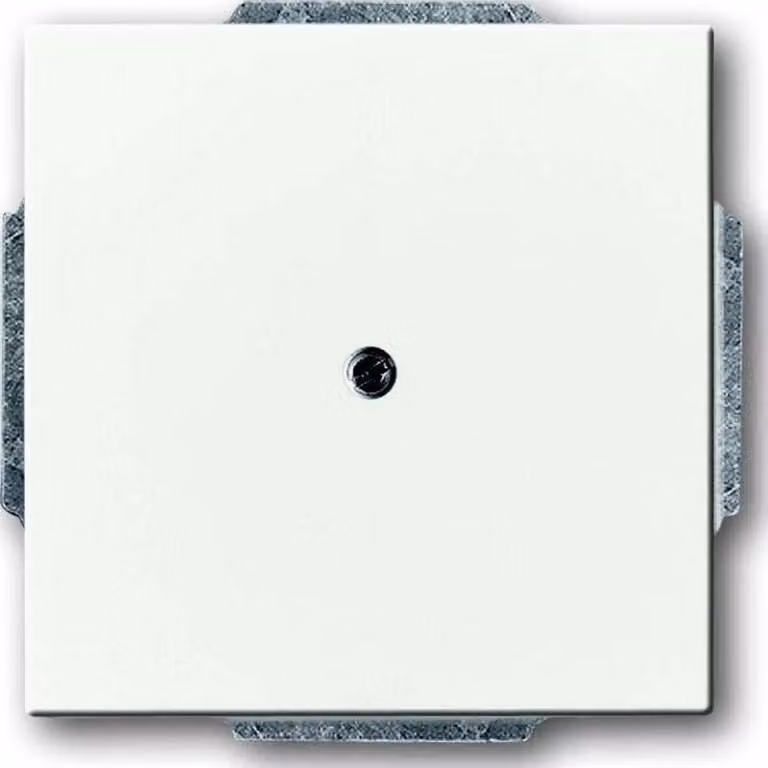 Busch-Jaeger Disco centrale dav/sws con supporto per uscita cavo 1749-84