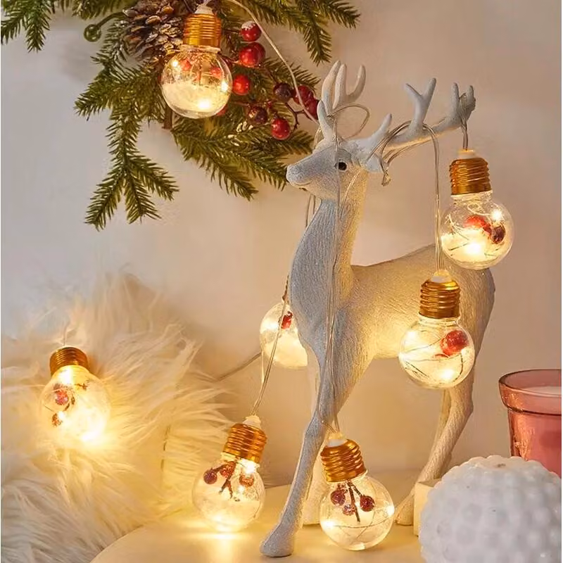 Lampadina Aga LED con decorazione 3 m 10 LED bianco caldo