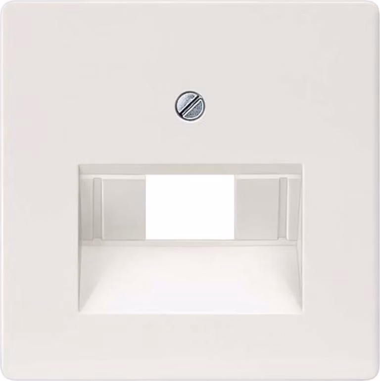 Siemens copertura presa UAE/IAE/ISDN Delta White 5TG2545 (5TG2545)