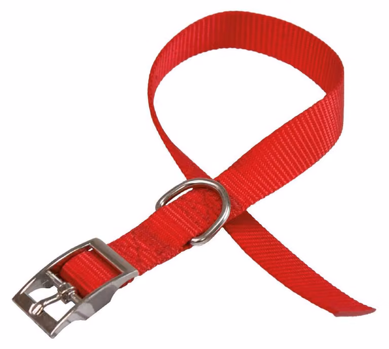 collare per cani 'daytona c' 20 mm x 35÷43 cm - colore blu