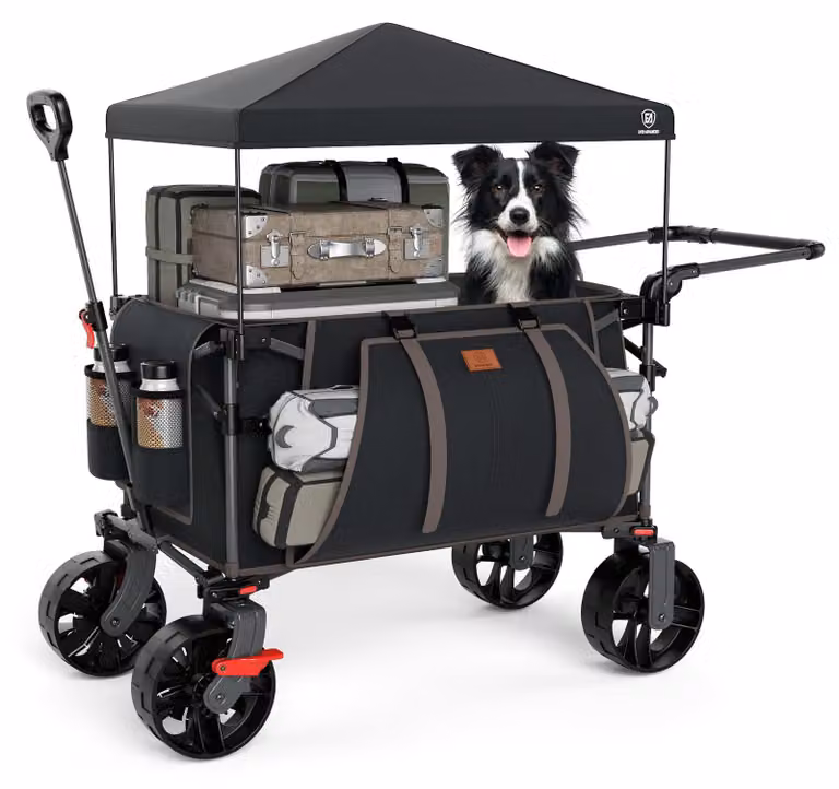 Carrello pieghevole per festival con tenda rimovibile