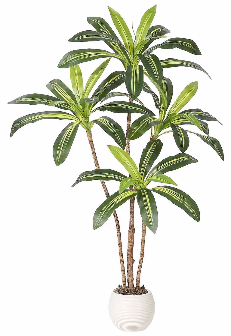 Yucca artificiale - Pianta da terra in vaso - Taglia 3XL - Per interni - Aspetto tropicale - Materiale PE - Verde oliva