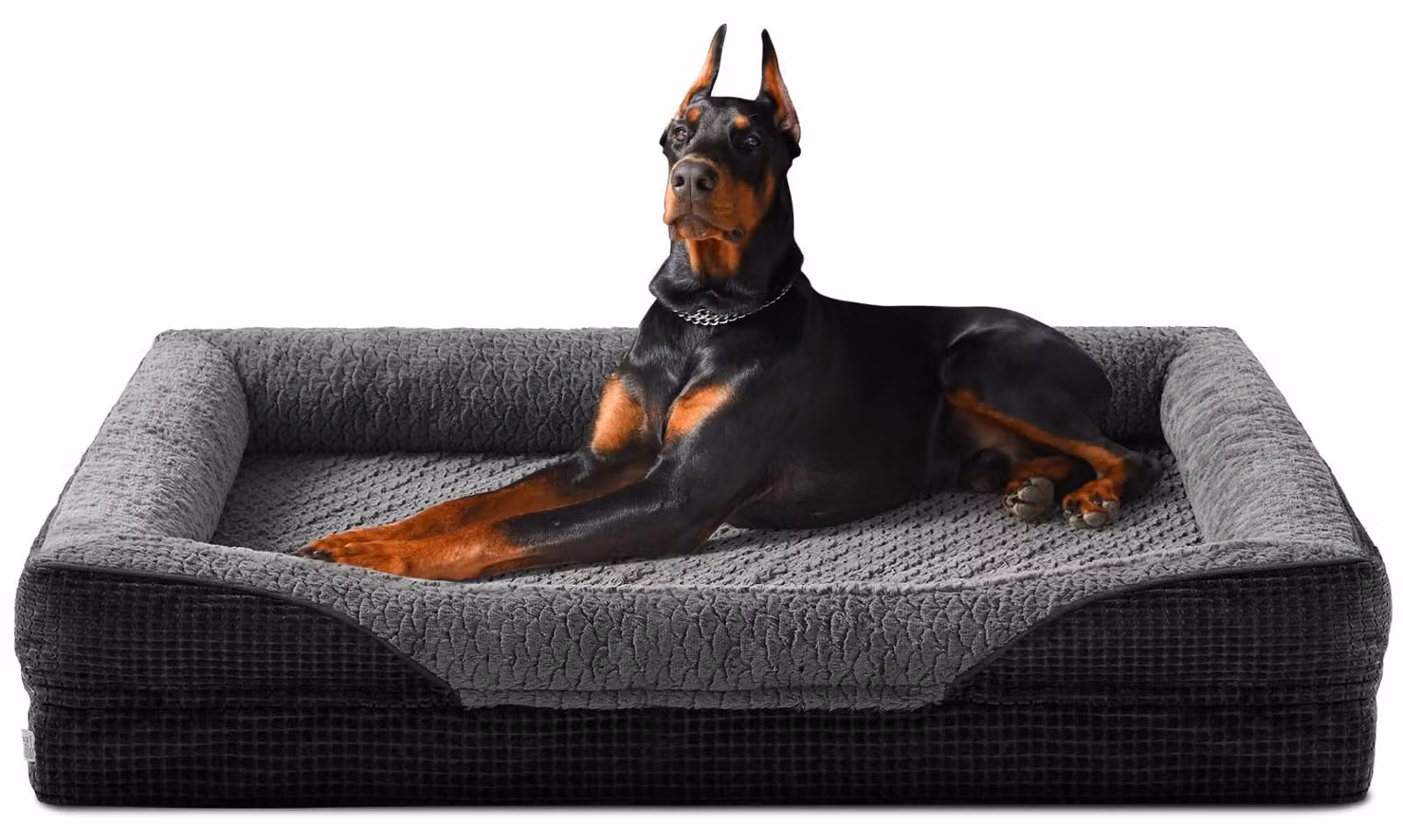 Cuccia ortopedica per cani di grossa taglia, realizzata in memory foam. Dimensioni: 122 x 89 x 19 cm. Colore: nero
