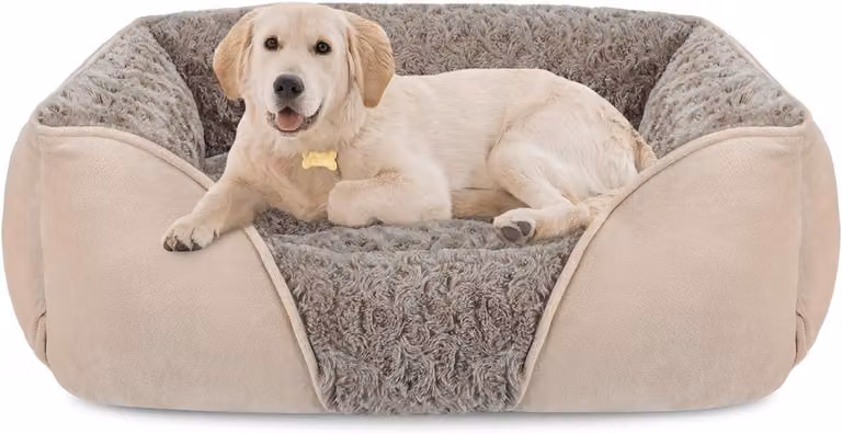 Cuccia per cani, grande, rettangolare, ortopedica, lavabile, morbida e confortevole