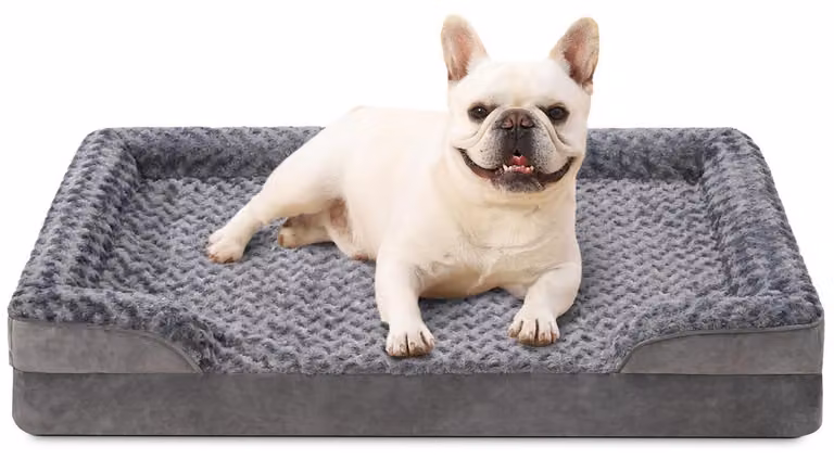 Cuccia ortopedica per cani, colore grigio, dimensioni L: 75x47x16 cm. Copertura removibile e lavabile, impermeabile