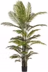 Pianta artificiale Kenzia verde con 33 foglie, Altezza: 210 cm