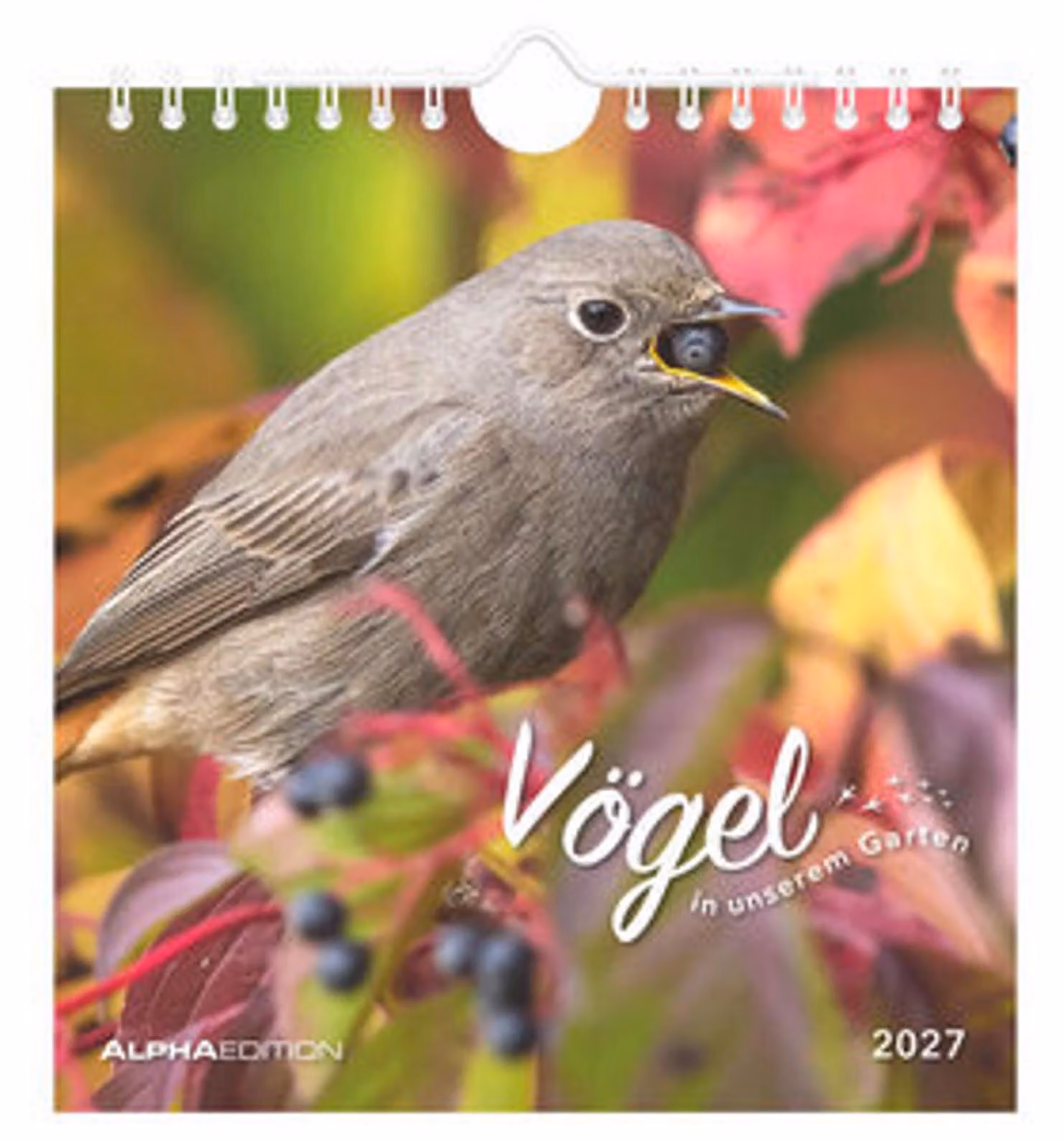 Gli uccelli nel nostro giardino 2027