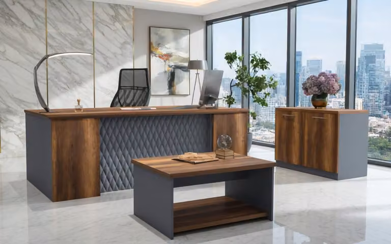 Set da ufficio elegante: scrivania, mobiletto laterale, tavolino da caffè, legno, grigio