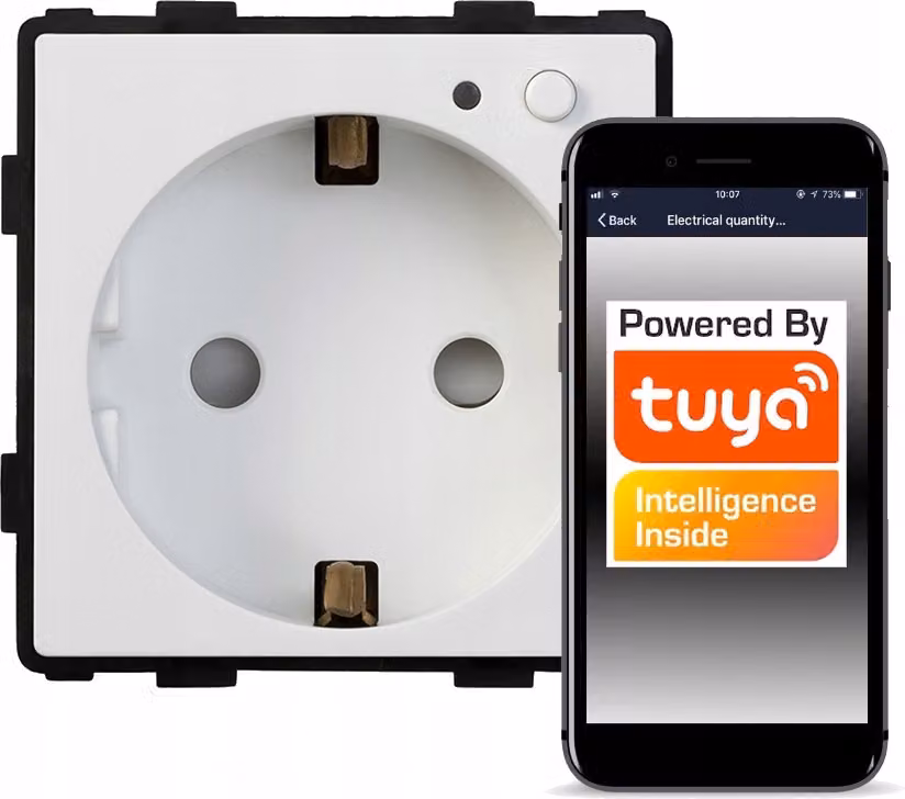 Scatola da incasso con controllo WiFi TUYA RTX SH