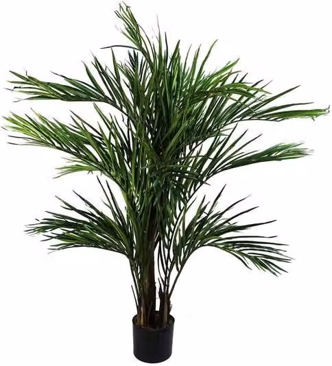 Foglia di Palma Areca, 130 cm
