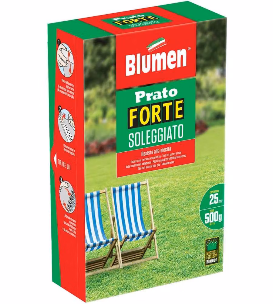 Blumen Semi Prato Forte Soleggiato 500 g - Miscuglio Sementi Verde
