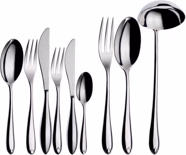 Set di posate Venezia Casa Bugatti 75 pezzi in acciaio inox argento con scatola Gallery e manico cavo