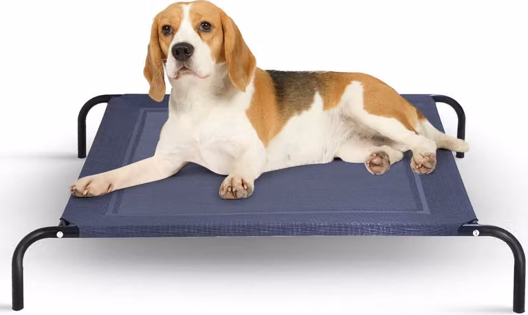 COSTWAY lettino per cani in metallo, lettino per cani da giardino, lettino per animali all'aperto, divano letto per cani, lettino per cani, lettino per gatti 110x80x18cm