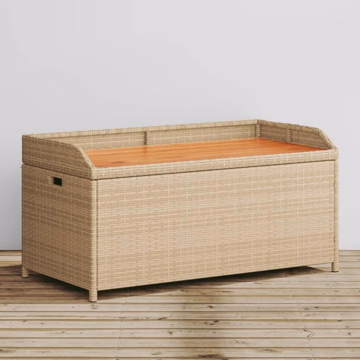 Panca da giardino con spazio contenitivo, dimensioni 100x50x52 cm, colore beige, realizzata in rattan sintetico e legno di acacia