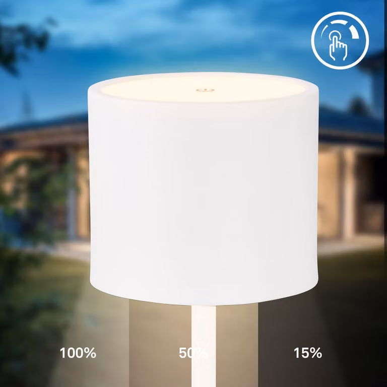 Lampada da terra a LED senza fili Lampada da terra a LED Lampada da terra a batteria Soggiorno dimmerabile