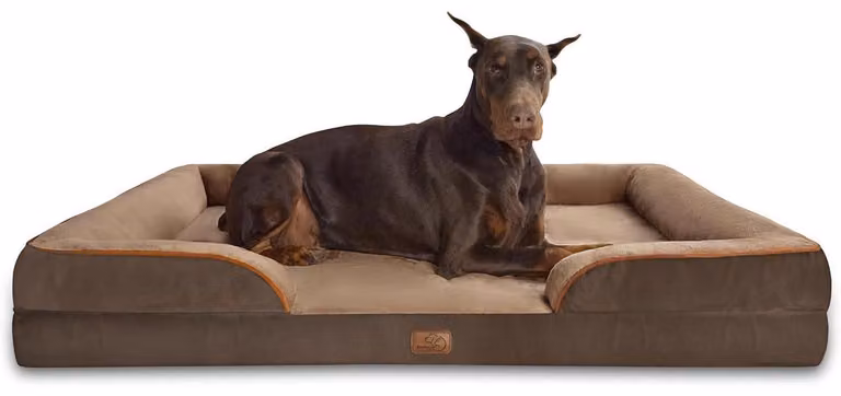 Cuccia ortopedica per cani, divano ergonomico per cani di grandi dimensioni, 134x106 cm, imbottita con schiuma a cellule chiuse, colore marrone