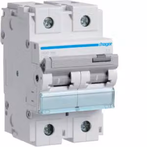 Interruttore magnetotermico bipolare 15 kA, curva C, 80 A, 3 moduli