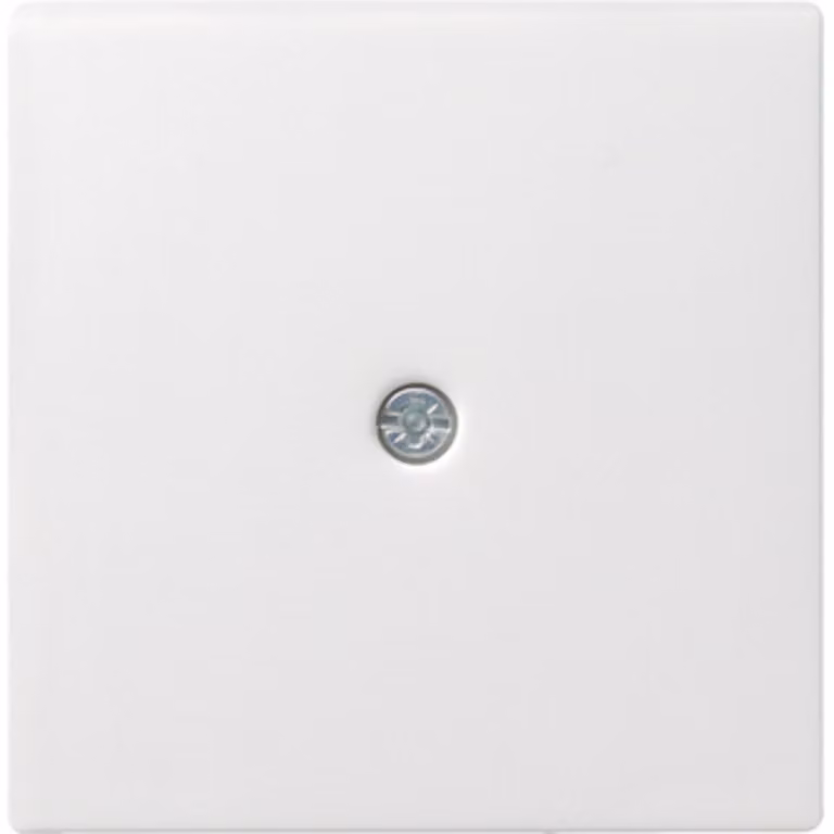 Gira Piastra centrale cavo uscita rws System55 027427