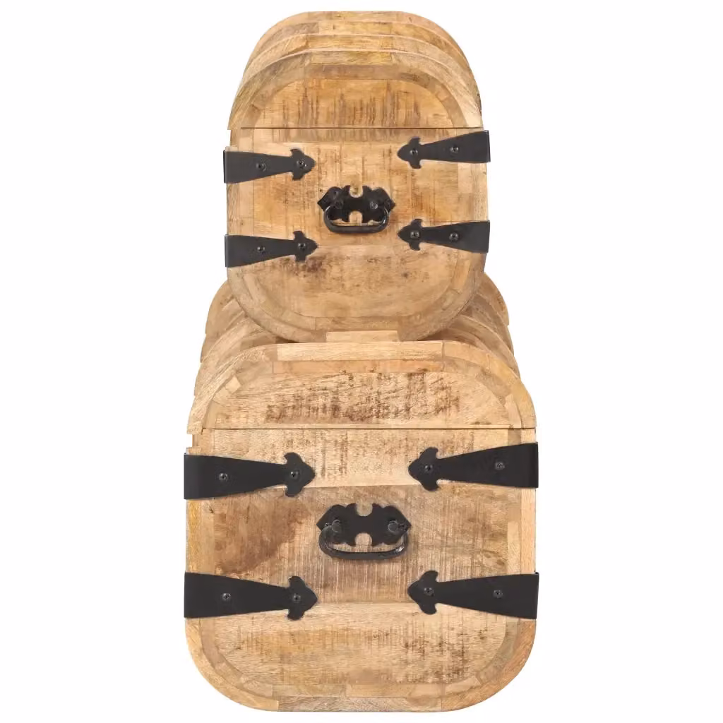 Set di 2 Bauli vidaXL in Legno di Mango Marrone Rustico – 2