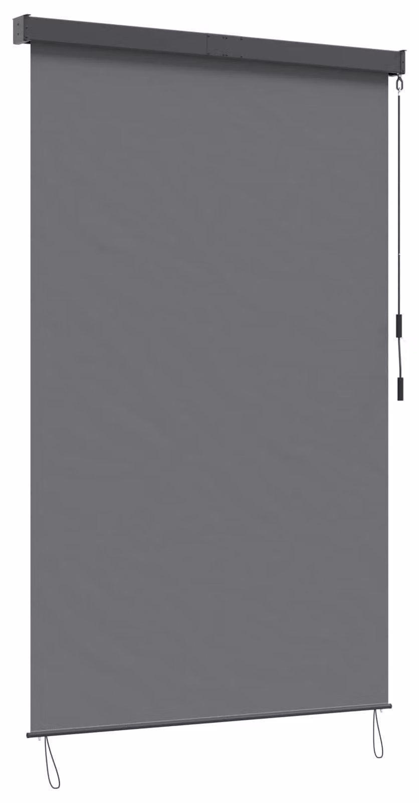 Tenda a rullo vidaXL grigio chiaro 60 x 250 cm in tessuto e alluminio
